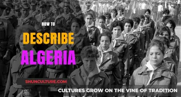 Exploring Algeria's Rich Culture, History, and Natural Wonders in Detail