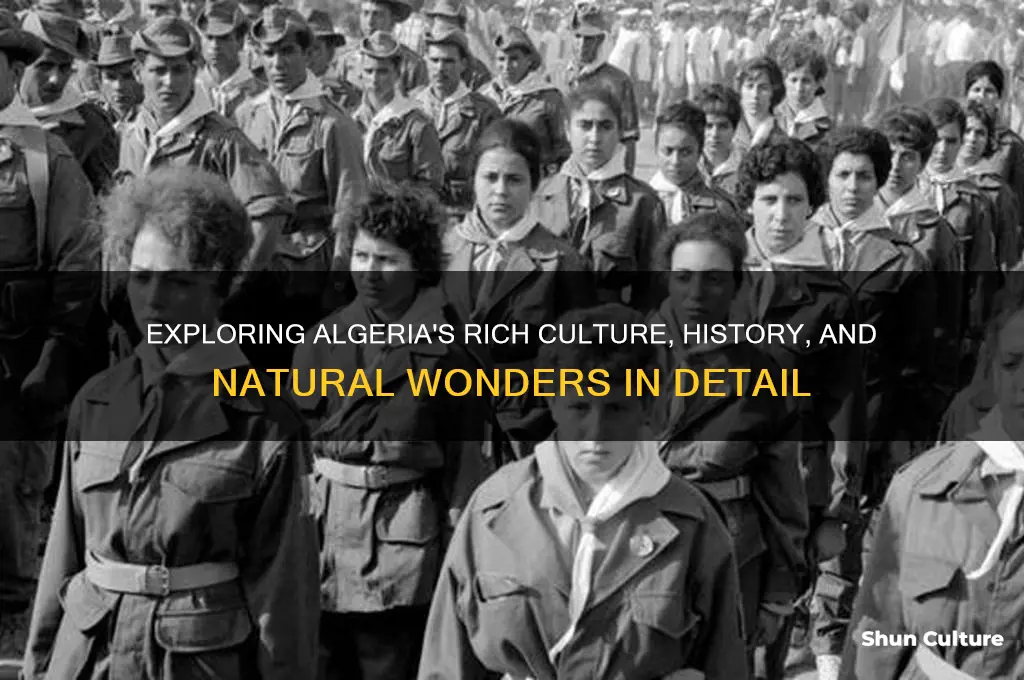 how to describe algeria