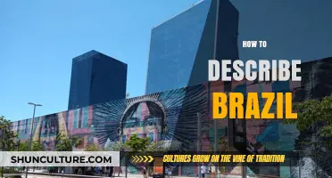 Exploring Brazil's Culture, Landscapes, and Vibrant Spirit: A Comprehensive Guide