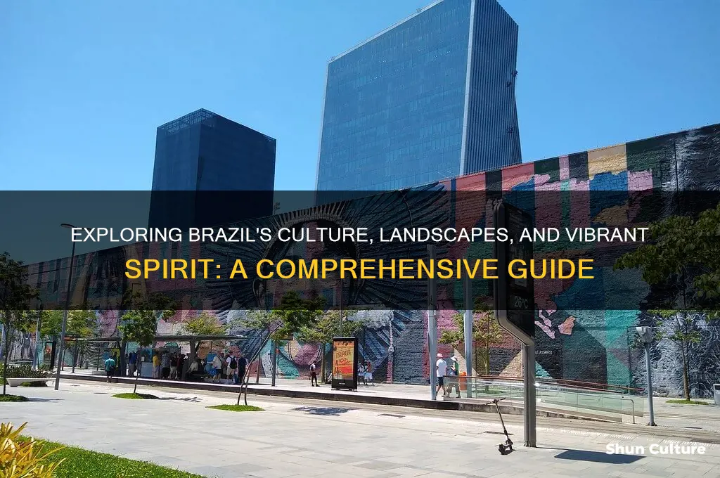 how to describe brazil