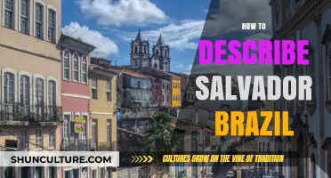Exploring Salvador, Brazil: A Cultural and Historical Travel Guide