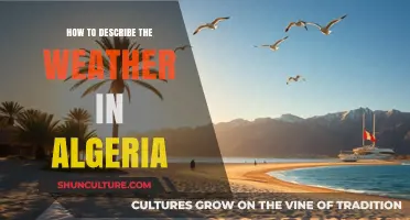 Exploring Algeria's Diverse Climate: Describing Its Unique Weather Patterns