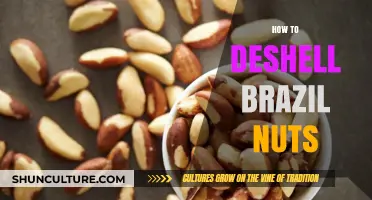 Mastering the Art of Deshelling Brazil Nuts: Simple Tips and Tricks