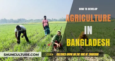 Sustainable Agriculture Growth: Strategies for Bangladesh's Farming Future