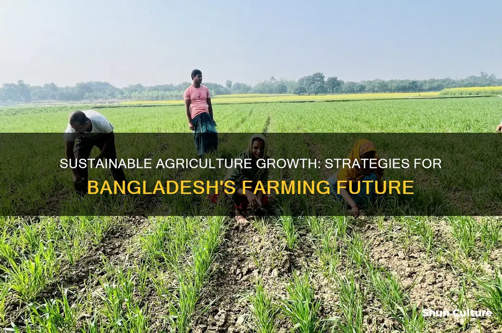 how to develop agriculture in bangladesh