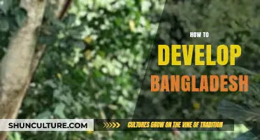 Empowering Bangladesh: Strategies for Sustainable Growth and Development