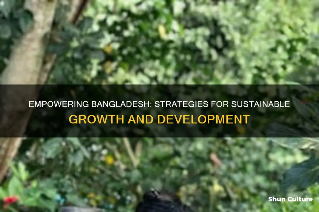 how to develop bangladesh