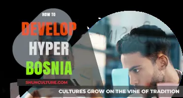 Developing Hyper Bosnia: Strategies for Innovation and Sustainable Growth