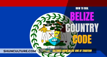 Unlocking International Calls: Dialing the Belize Country Code