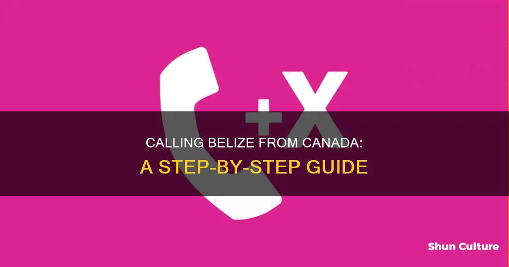 how to dial belize from canada