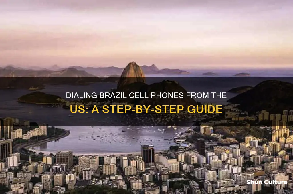 how to dial brazil cell from us