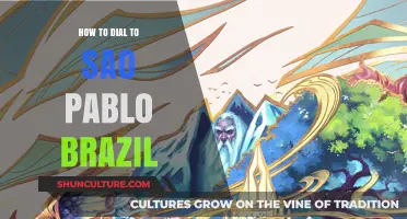 Dialing Made Easy: How to Call São Paulo, Brazil