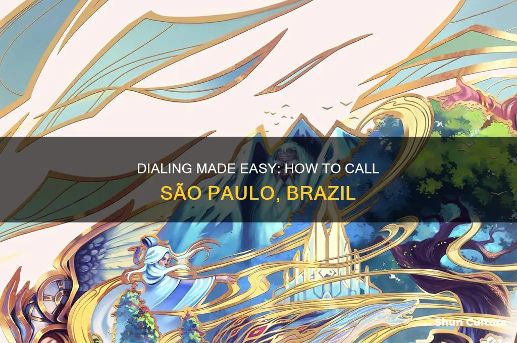 how to dial to sao pablo brazil