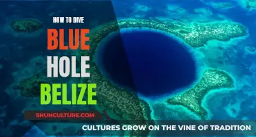 Exploring the Mysteries of Blue Hole, Belize: A Diver's Guide