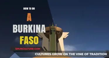 Exploring Burkina Faso: A Beginner's Guide to Faso Adventures