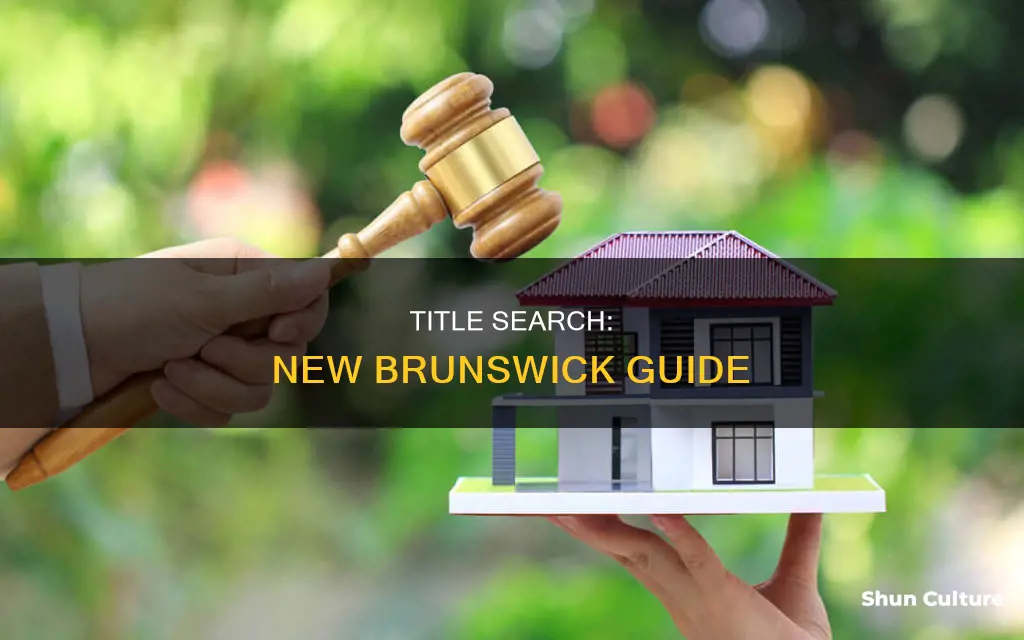 how to do a title search in new brunswick