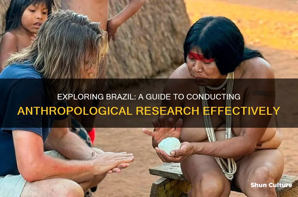 how to do anthropological research in brazil