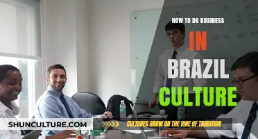 Navigating Brazil's Business Culture: Essential Tips for Successful Partnerships
