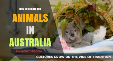 Helping Australian Animals: Where and How to Donate