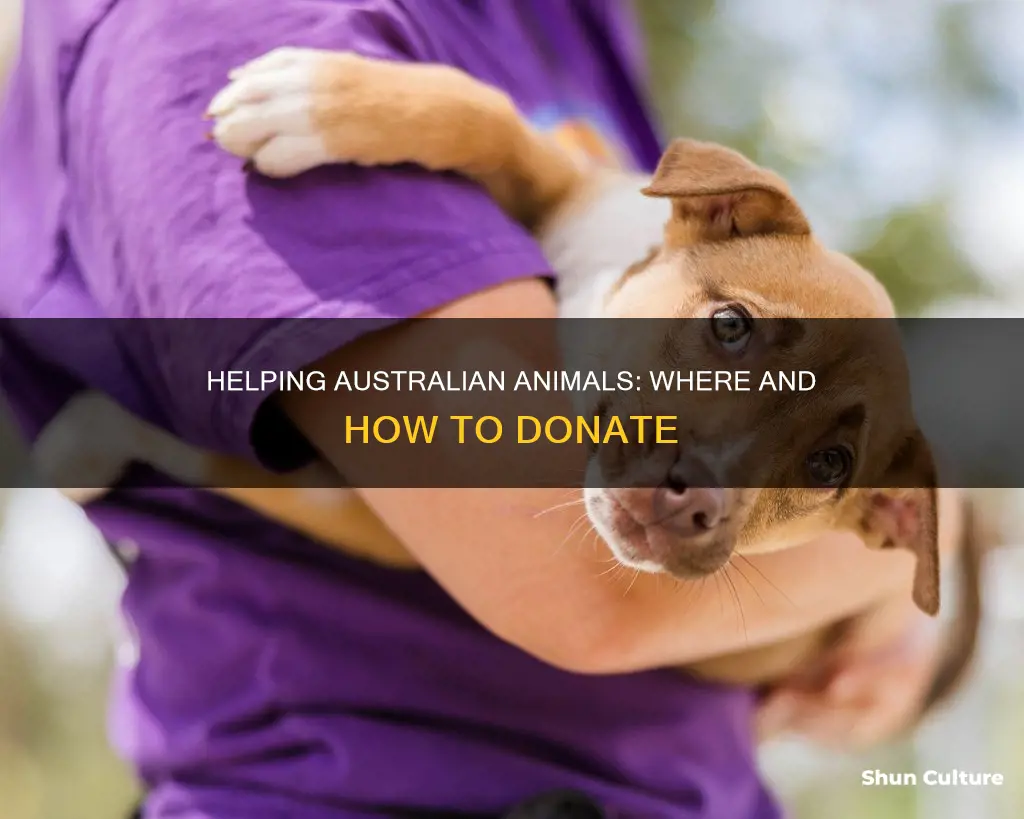 how to donate for animals in australia