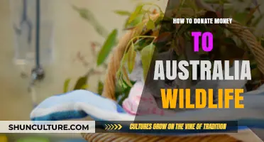 Helping Australia's Wildlife: Where Your Donations Go