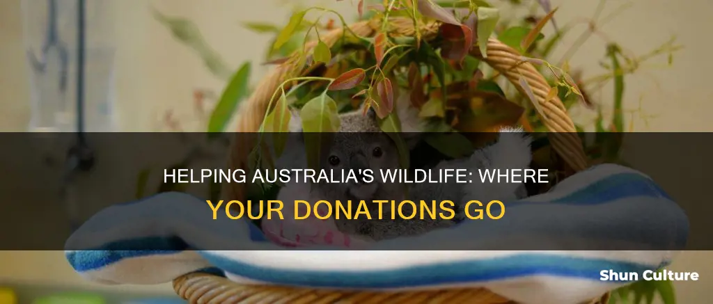 how to donate money to australia wildlife