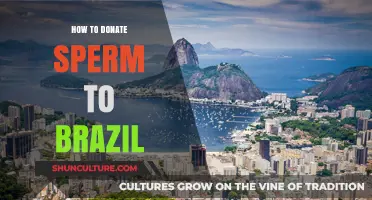 Donating Sperm in Brazil: A Step-by-Step Guide for Contributors
