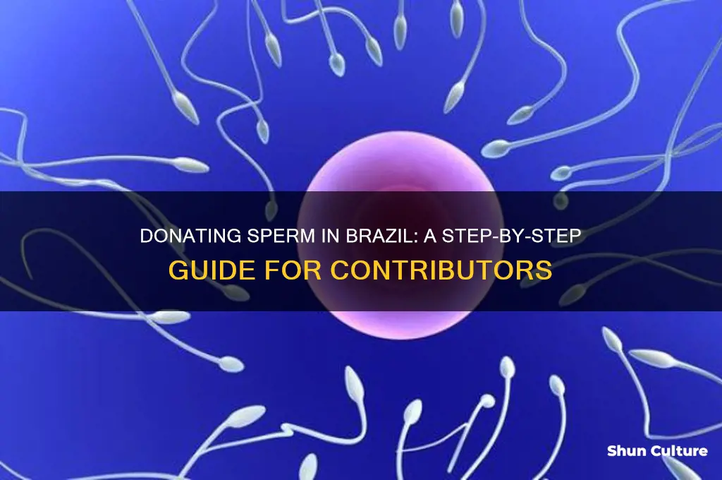 how to donate sperm to brazil