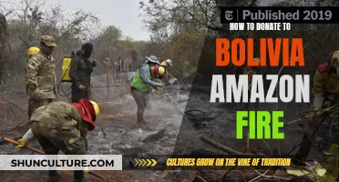 Donating to Bolivia's Amazon: How to Help Fight the Fires