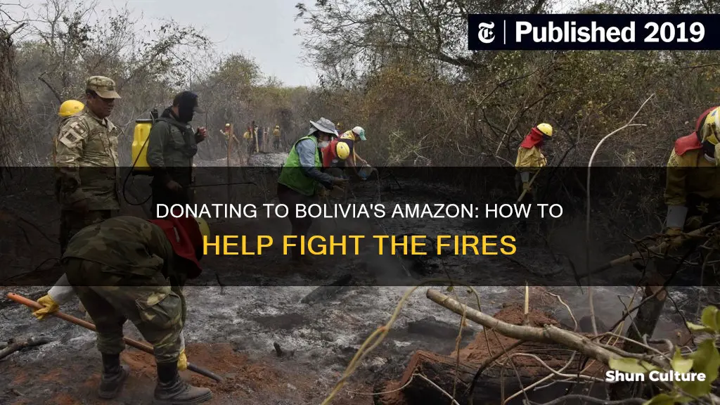 how to donate to bolivia amazon fire