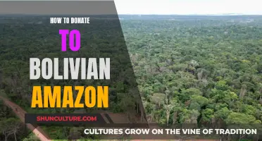 Donating to the Bolivian Amazon: A Step-by-Step Guide