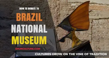 Support Brazil's National Museum: A Guide to Donating and Helping