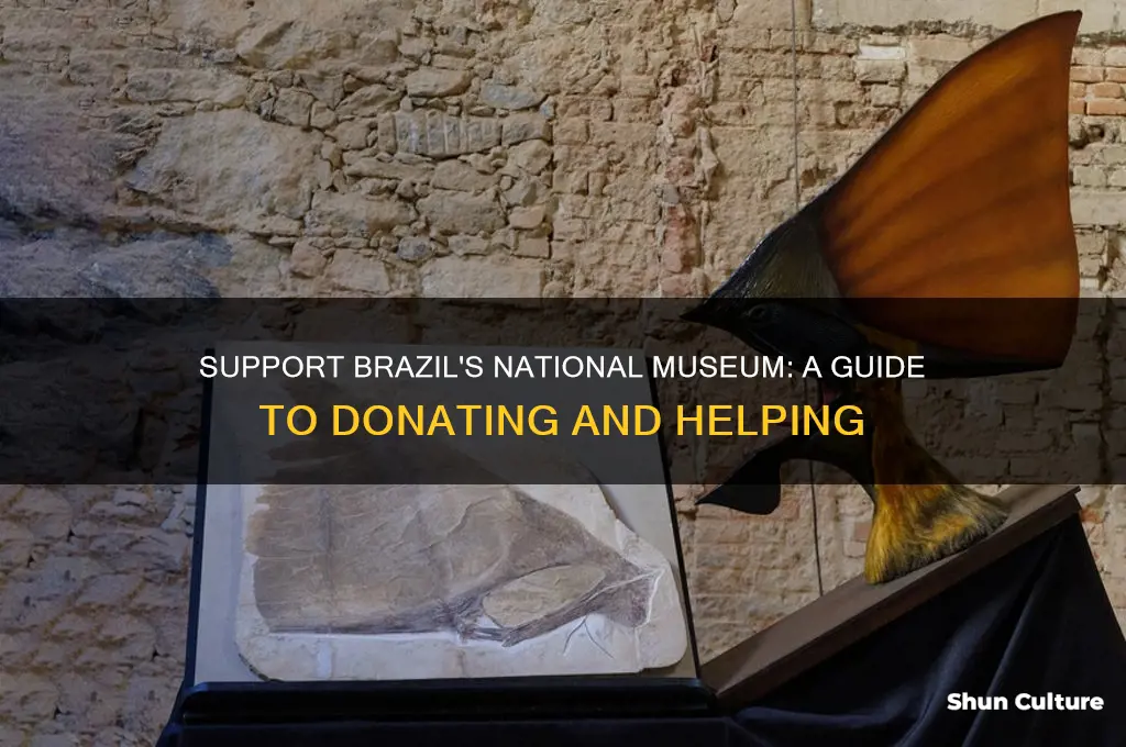 how to donate to brazil national museum