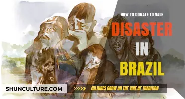 Support Vale Disaster Relief: How to Donate and Help Brazil Recover