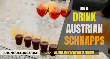 A Guide to Enjoying Austrian Schnapps: Tips and Tricks