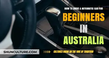Mastering Automatic Car Driving in Australia as Beginners