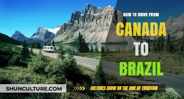 Ultimate Guide: Driving from Canada to Brazil - Tips & Routes