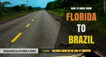 Driving from Florida to Brazil: A Comprehensive Road Trip Guide