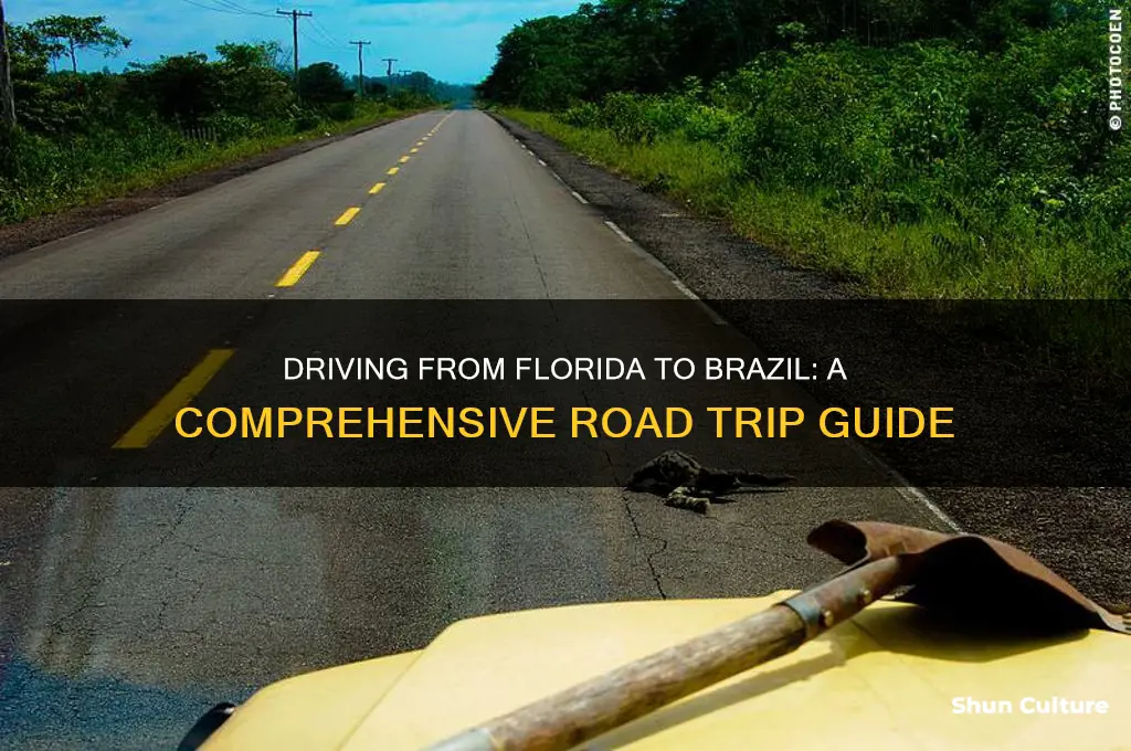 how to drive from florida to brazil