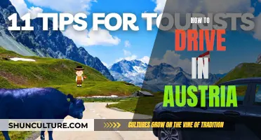 Mastering the Roads: A Guide to Driving in Austria