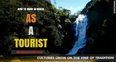 Navigating Brazil's Roads: A Tourist's Guide to Safe Driving