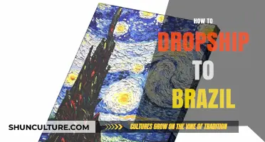 Mastering Dropshipping to Brazil: Essential Tips for Success