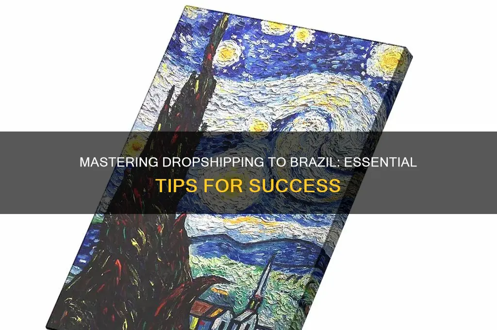 how to dropship to brazil