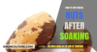 Perfectly Dried Brazil Nuts: Simple Steps After Soaking for Optimal Crunch