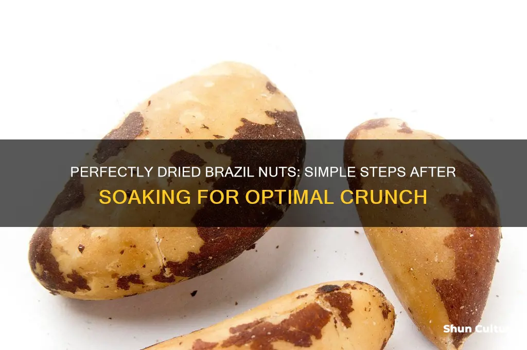 how to dry brazil nuts after soaking