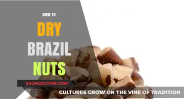 Easy Steps to Perfectly Dry Brazil Nuts at Home