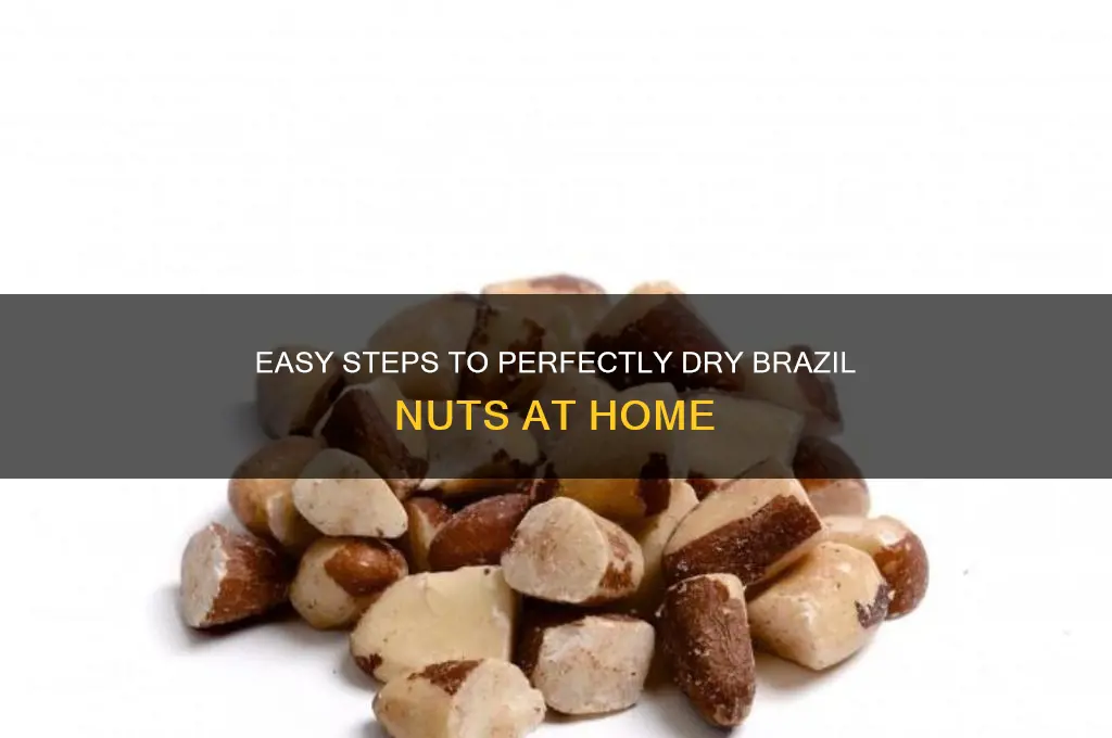 how to dry brazil nuts