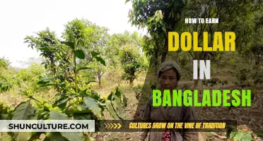 Proven Strategies to Earn Dollars in Bangladesh: A Comprehensive Guide