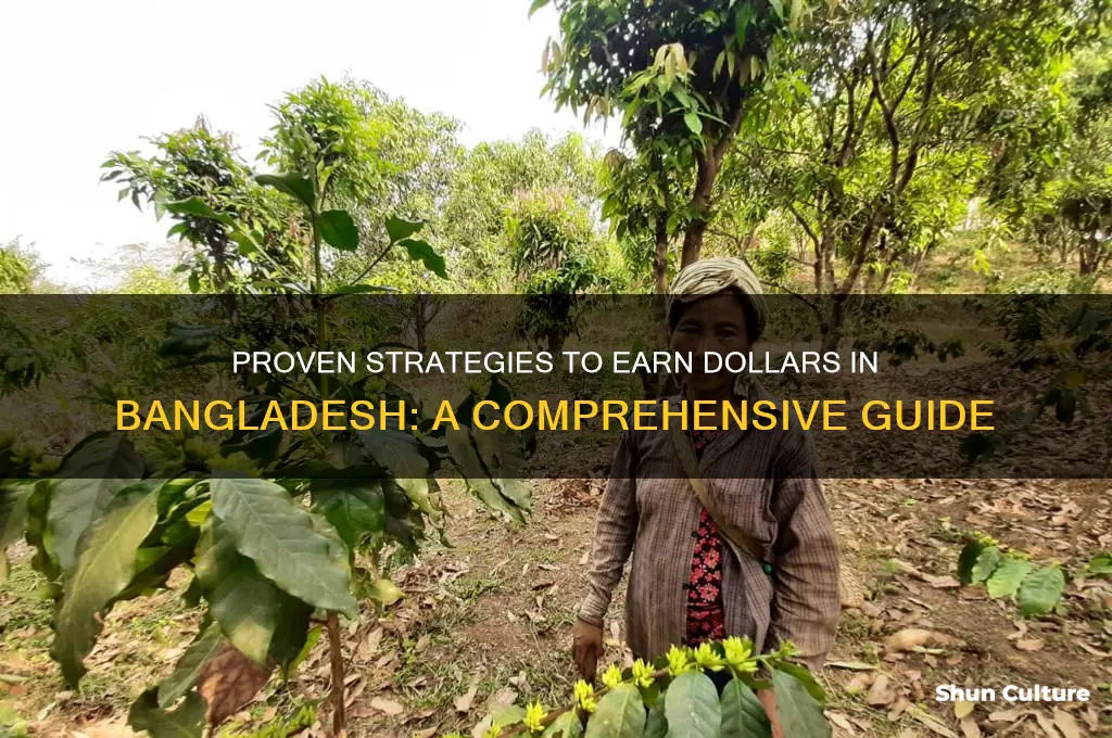 how to earn dollar in bangladesh