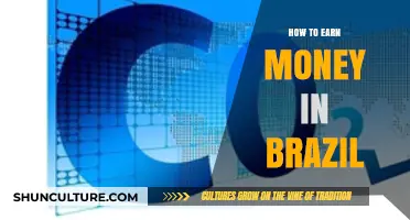 Unlocking Income Opportunities: A Guide to Earning Money in Brazil